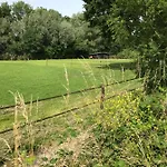 Luxury - Eik Aan De Dijk