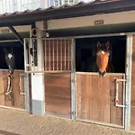 Luxury - Eik Aan De Dijk 3*