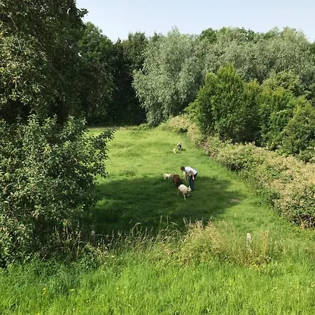 Frühstückspension Luxury - Eik Aan De Dijk