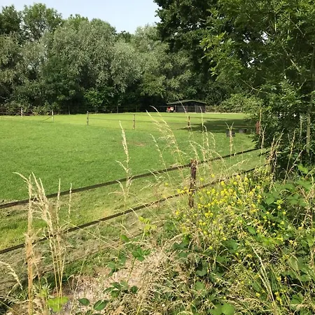 Luxury - Eik Aan De Dijk