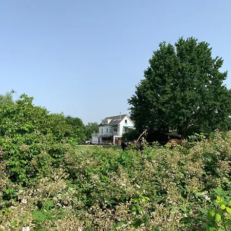 Luxury - Eik Aan De Dijk 3* Aalst