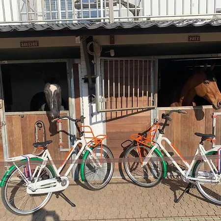 Bed & Breakfast Luxury - Eik Aan De Dijk 3*