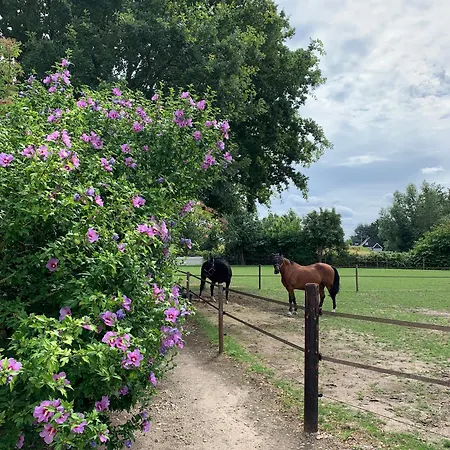 Luxury - Eik Aan De Dijk Frühstückspension Aalst