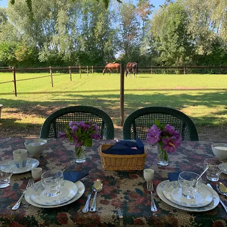 Luxury - Eik Aan De Dijk 3*