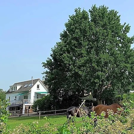 Luxury - Eik Aan De Dijk Bed and Breakfast