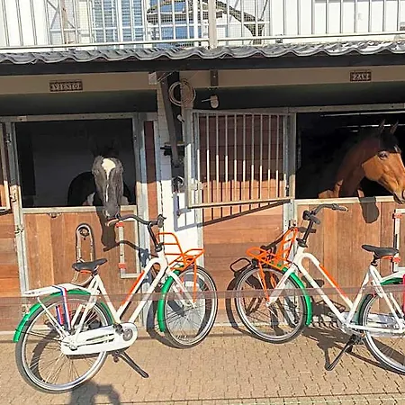 Bed and Breakfast Luxury - Eik Aan De Dijk Aalst
