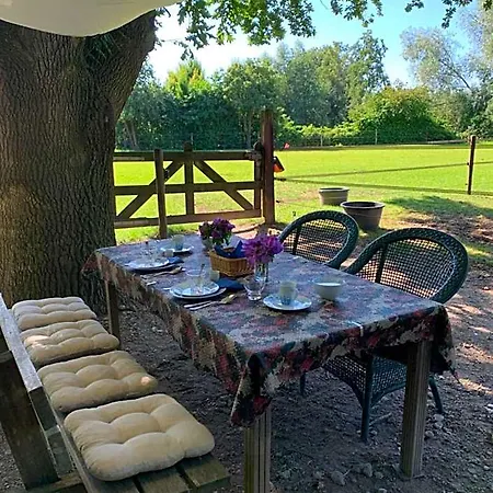 Bed and Breakfast Luxury - Eik Aan De Dijk Aalst