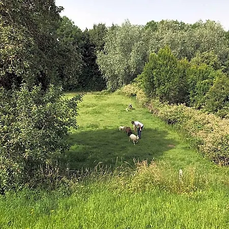 Luxury - Eik Aan De Dijk