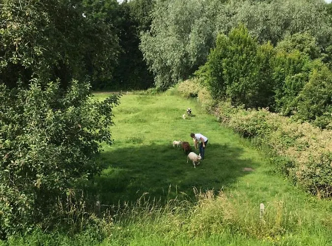 Oda ve Kahvaltı Luxury - Eik Aan De Dijk