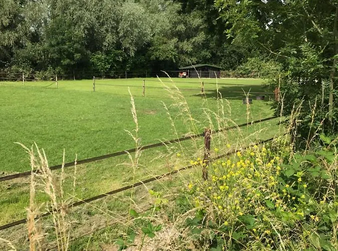 Luxury - Eik Aan De Dijk