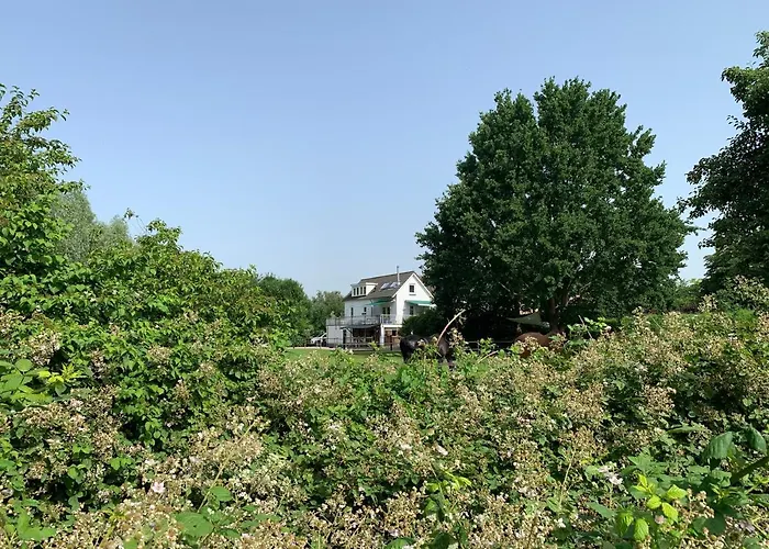 Luxury - Eik Aan De Dijk 3* Aalst