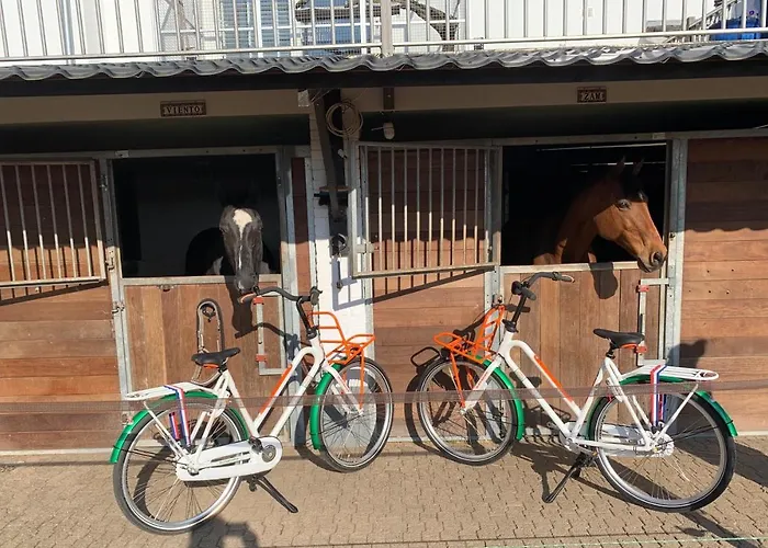 Oda ve Kahvaltı Luxury - Eik Aan De Dijk 3*