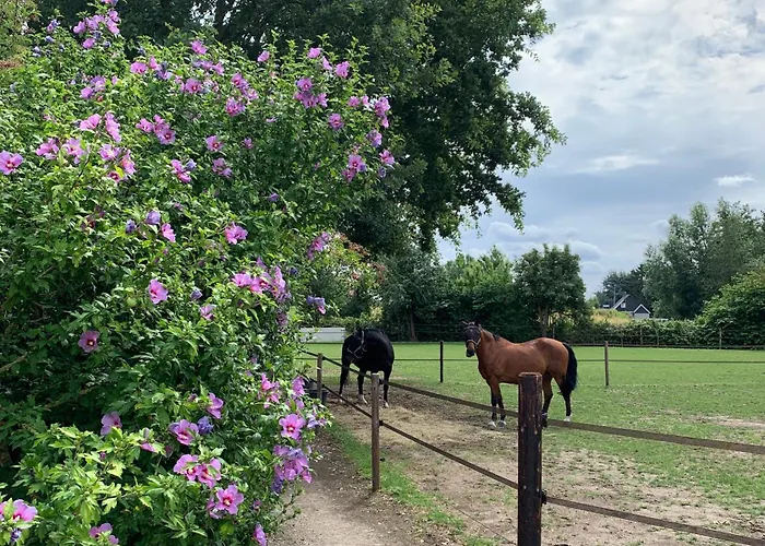 Luxury - Eik Aan De Dijk Oda ve Kahvaltı Aalst