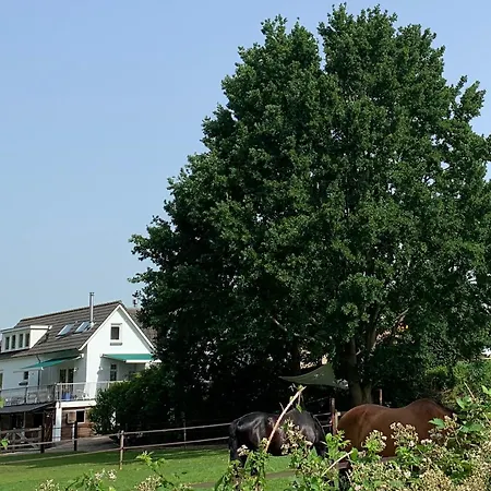 Bed & Breakfast Luxury - Eik Aan De Dijk Aalst