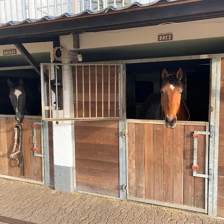 Luxury - Eik Aan De Dijk *
