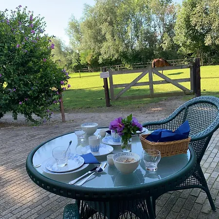 Luxury - Eik Aan De Dijk Bed & Breakfast Aalst