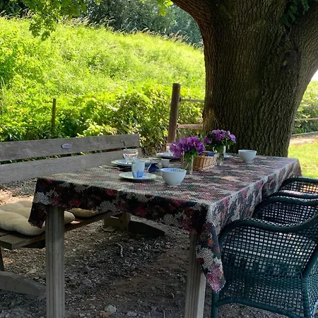 Luxury - Eik Aan De Dijk Bed & Breakfast 3*