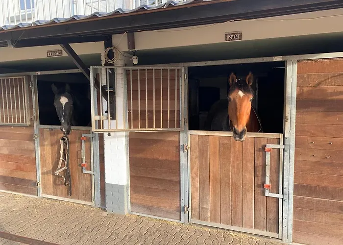 Luxury - Eik Aan De Dijk 3*