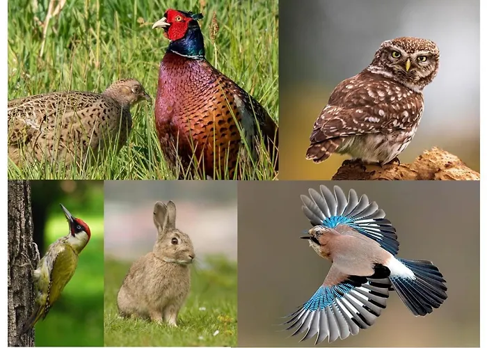 Luxury - Eik Aan De Dijk 3*